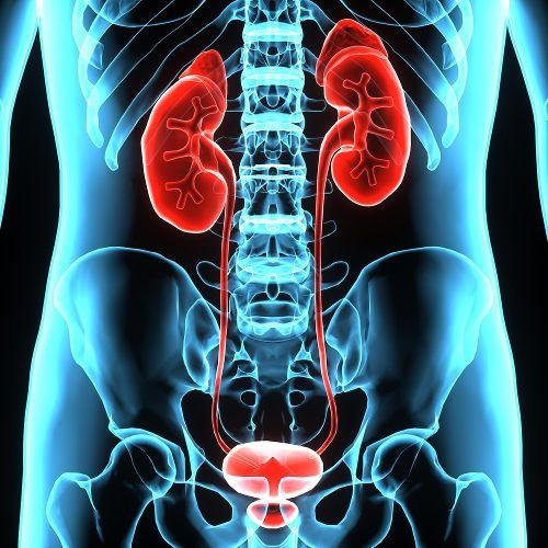 Expert Gastrointestinal Cancer Treatment in Kolkata by Dr. Shasanka Sekhar Das – Advanced care for stomach, liver, and colon cancers